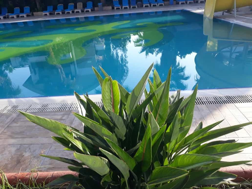 Hotel Club Jovia Kemer Antalya Exterior foto